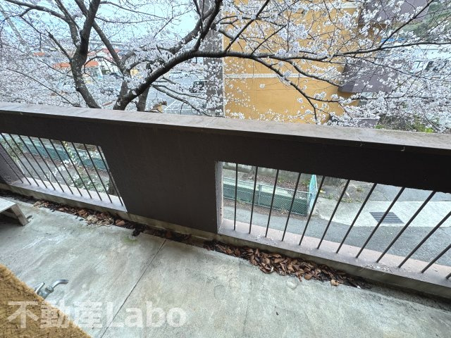 徳島市南庄町３丁目の賃貸マンションのバルコニー