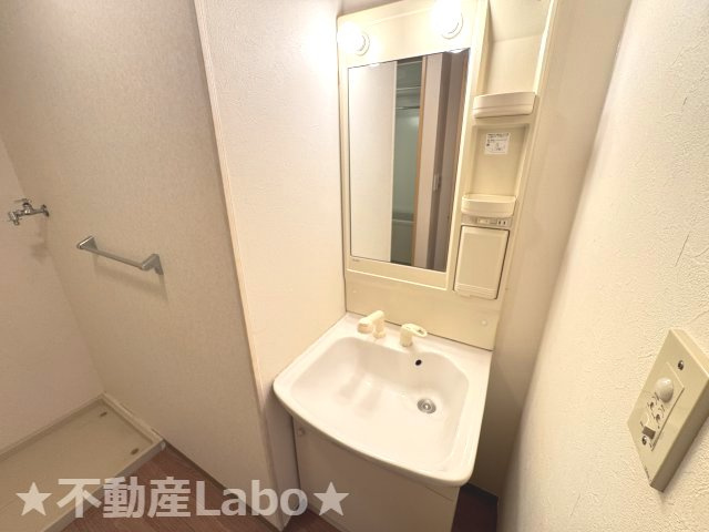 徳島市中吉野町３丁目の賃貸マンションの洗面所