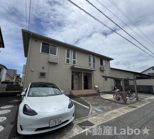 ヴァン・ルーチェ