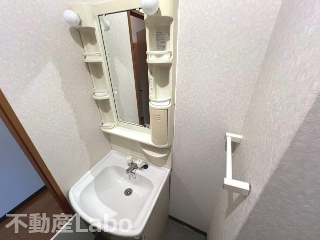 鳴門市大津町矢倉字六ノ越の賃貸マンションの洗面所