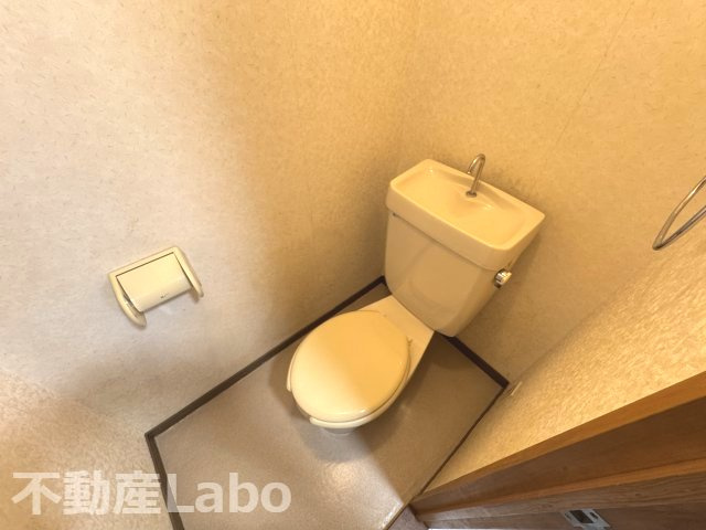 徳島市助任本町５丁目の賃貸マンションのトイレ