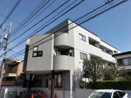 ウイステリア国立(ウイステリアクニタチ)の画像