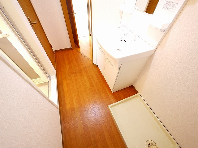 アネシス　Ｄ棟の洗面所|脱衣スペースもあります