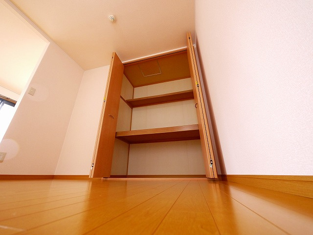 アネシス　Ｄ棟の収納|便利な収納スペースです