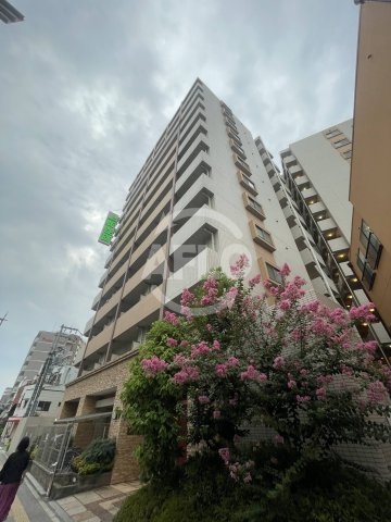 エクセレント上新15