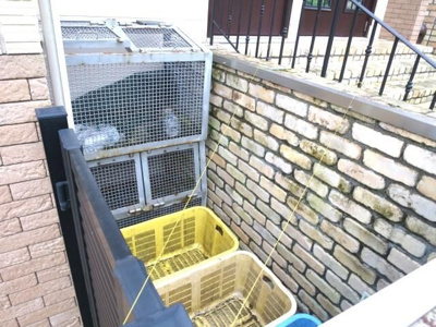 【その他共用部分】 | 凛樹ドゥプリム(リンジュドゥプリム)