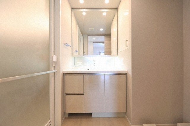 パークタワー北浜の洗面所