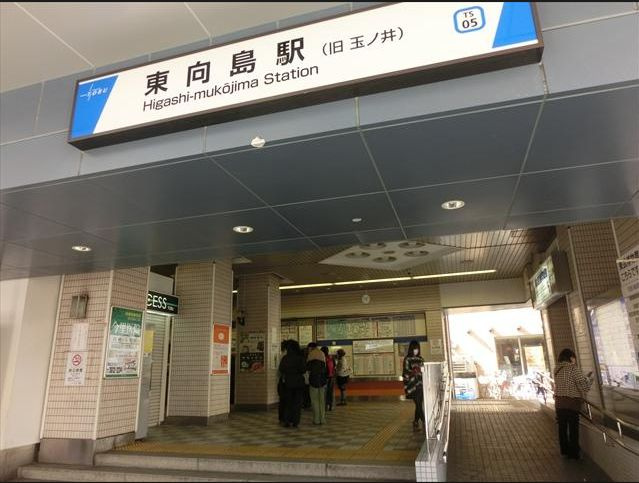 セントアイヴィス向島の周辺