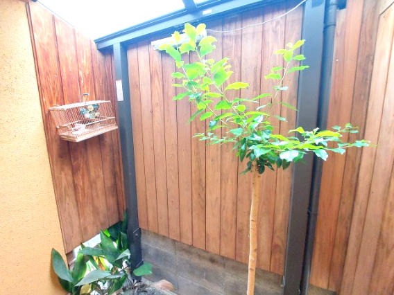 売中古戸建　静岡市葵区松富３丁目の庭|和の風情を演出します。