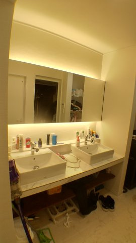 売中古戸建　清水区蜂ヶ谷南町の洗面所