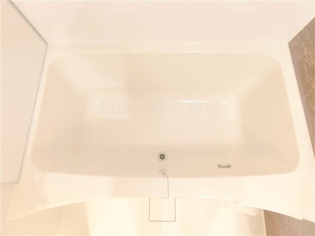 コンフォリア・リヴ西蒲田の浴室