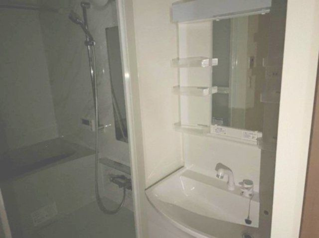 メゾン・ド・ベアⅡの洗面所