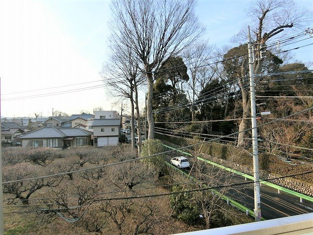 リブリ・武蔵野の展望