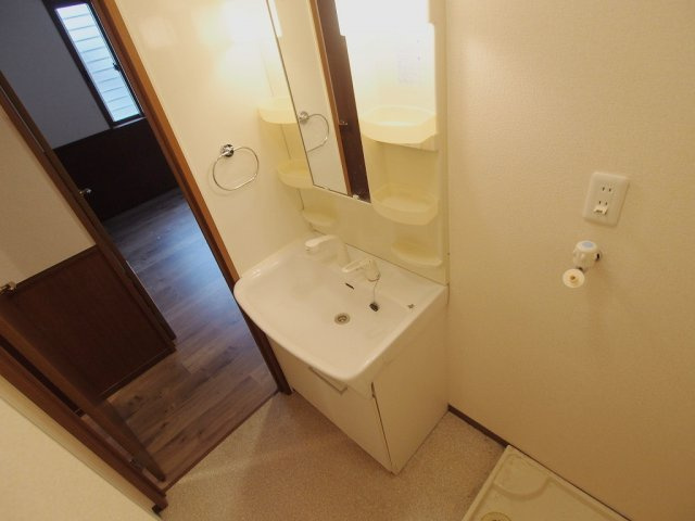 ウイングMISAWA VIの洗面所