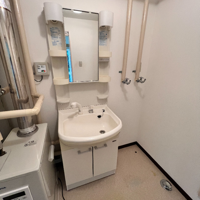 スワンヒルズ山手の洗面所