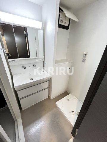 リ・フォルーチェ大阪城の洗面所|洗面所です