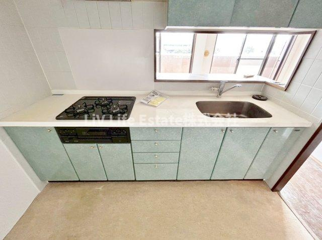 ライオンズガーデン武蔵関公園弐番館のキッチン