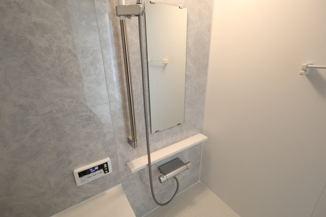 《仲介手数料無料》浦和区大東１丁目31-8新築一戸建てメルディアの玄関|撮影日 2025年12月2日 11:30 曇り