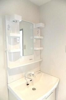 ロイヤルガーデン国分寺の洗面所