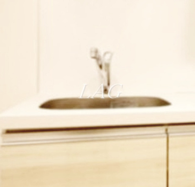 【その他】 | プレール・ドゥーク赤塚 | シンクです。