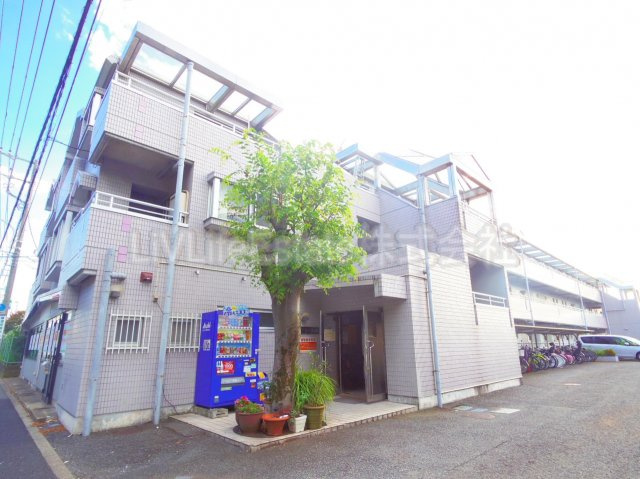 エバーグレース５４３