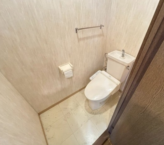 アビタシオン橋本IIの洗面所