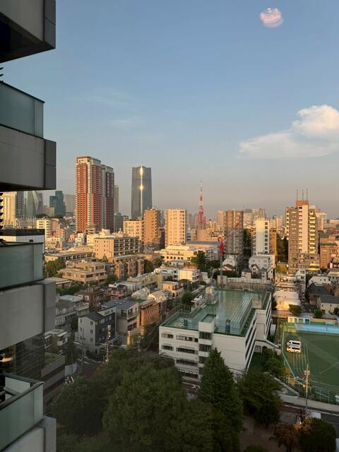 港区西麻布４丁目の賃貸マンションの展望| 