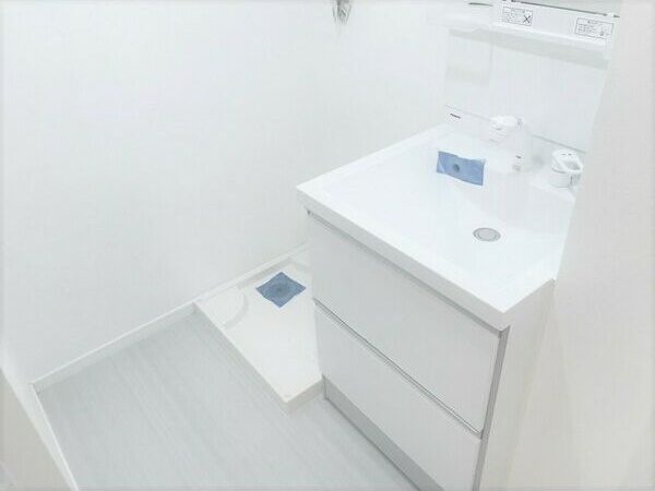 アヴェルタージュみずほの洗面所