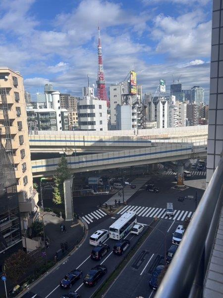 港区麻布十番１丁目の賃貸マンションの展望|東京タワー方面 