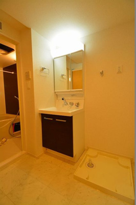 【洗面所】 | サンリット ヴィラⅡ | 忙しい朝に便利なシャンプードレッサー