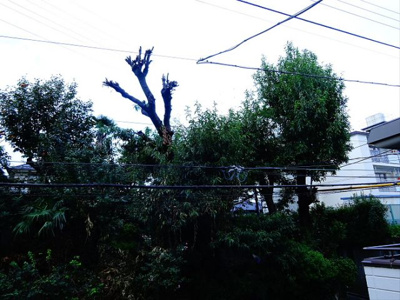 【展望】 | パルクメゾン