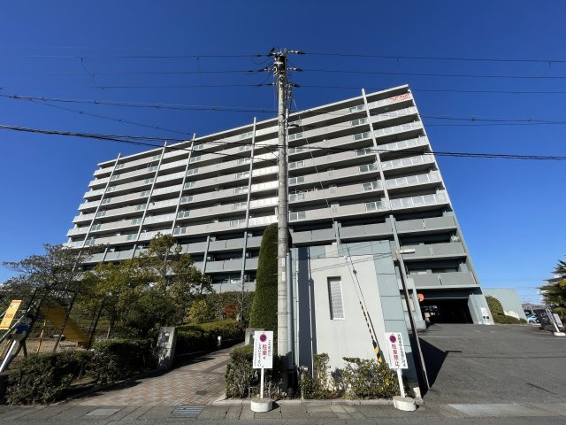 レックス・フェスタ野洲　天然木フルリノベーションの外観|2026年1月撮影