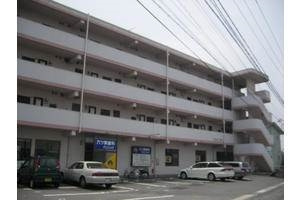 ジャンティのその他