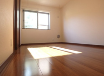 ステラコートの画像