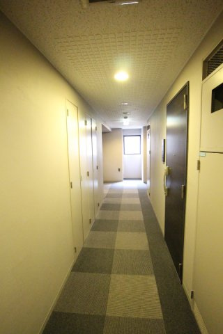 プライムアーバン南池袋のその他共用部分|共用廊下　※参考写真