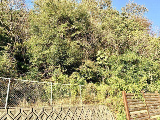 売土地　静岡市葵区大岩３丁目の外観|多用途に使える山林です