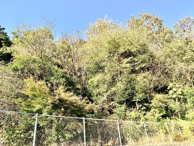 売土地　静岡市葵区大岩３丁目の外観|2000㎡以上の土地です