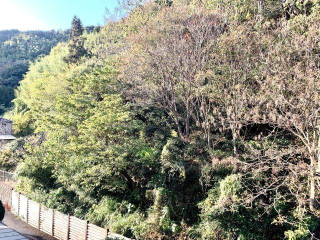 売土地　静岡市葵区大岩３丁目の外観
