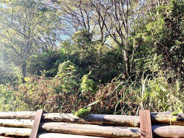 【外観】の画像