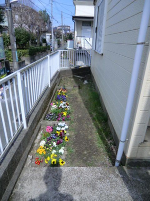 【その他共用部分】 | メゾンM&Y(メゾンエムアンドワイ)