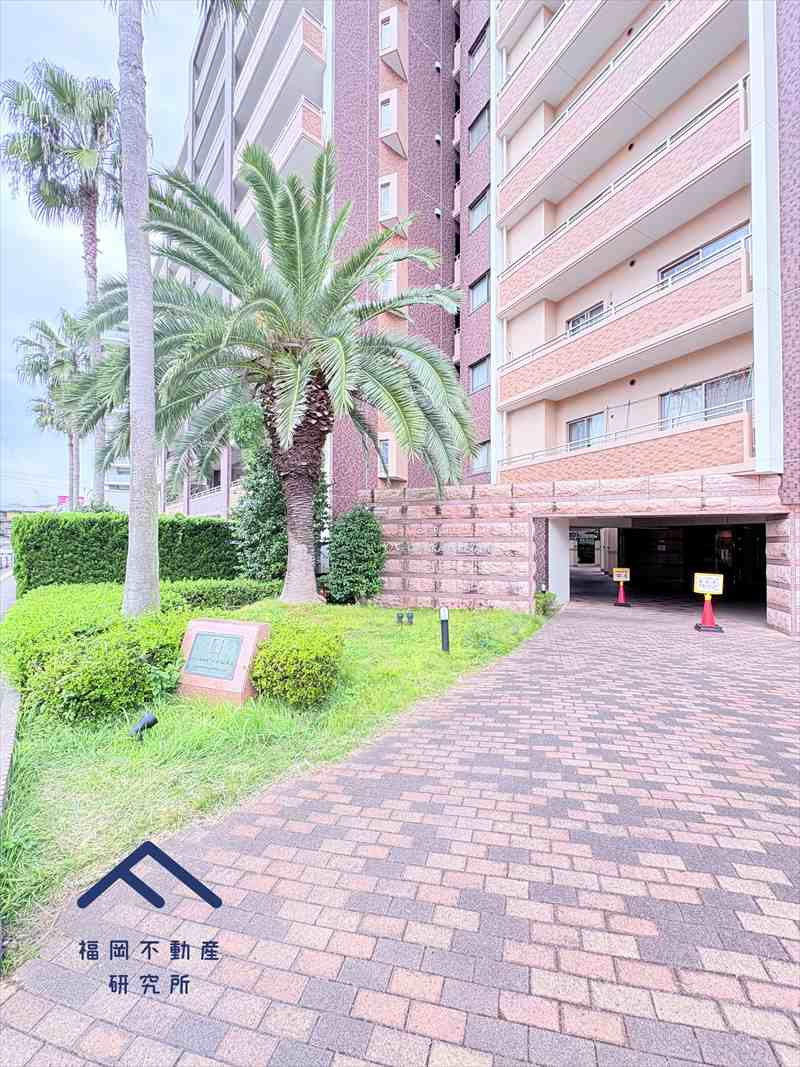 エバーライフパセオ博多南センターコートのその他