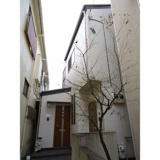 フラッツＭの画像