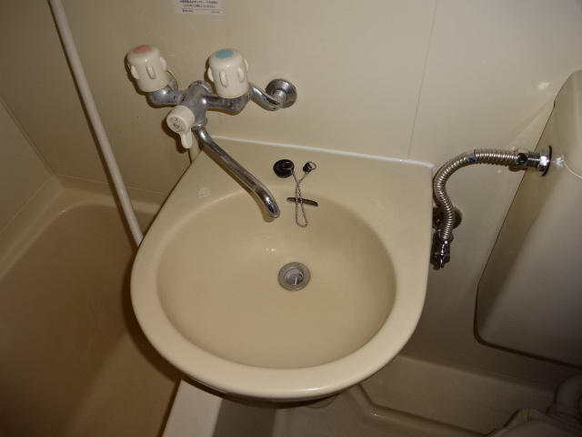 ダイヤモンドレジデンス錦糸町の洗面所