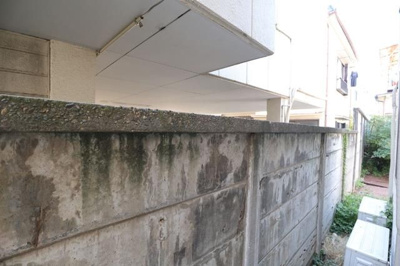 【展望】 | コーザヴェルデ