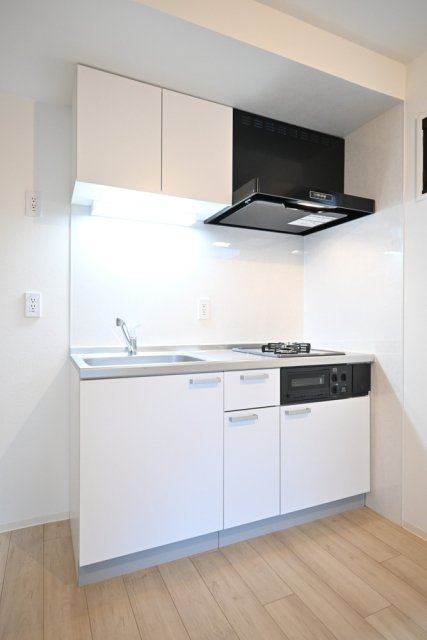 フェリデンシア御嶽山のキッチン|システムキッチン（2口ガスコンロ・グリル付）