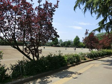 上水公園まで655m