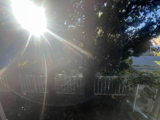 フレグランス幕張の展望