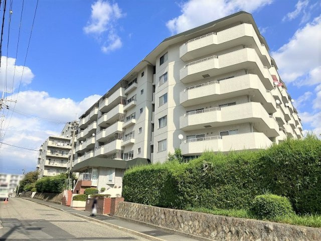 緑丘コータース