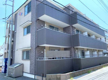 ミリアビタ実籾の画像