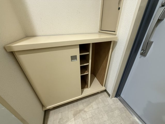 ライオンズマンション平河町のその他